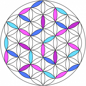 Logo van discipl, een rondje met daarin een netwerk van ovalen, waarvan een aantal gekleurd zijn in roze en licht of donkerblauw.
