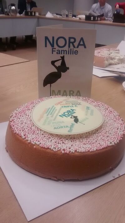 foto van een taart die er uitziet als een beschuit met muisjes, met het logo van de NORA Familie plus een ooievaar bij de naam MARA. Achter de taart een ansichtkaartje met de ooievaar, de tekst MARA en daarboven de tekst NORA Familie.